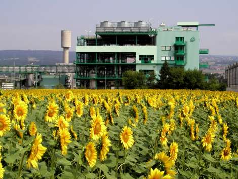 Syngenta Projekt „Expansion II S-NAA WKA“ in Kaisten